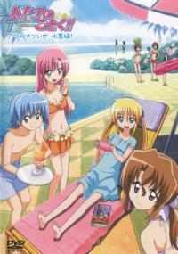Hayate no Gotoku!! 2nd Season: Atsu ga Natsui ze - Mizugi Hen!